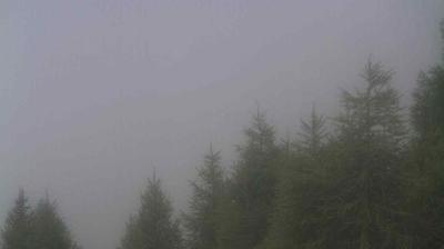 immagine della webcam nei dintorni di Sondrio: webcam Teglio