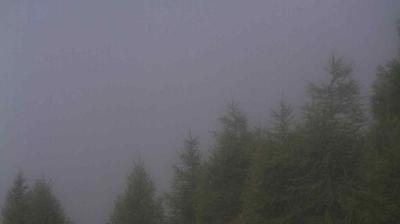 immagine della webcam nei dintorni di Dosso Pasò: webcam Teglio