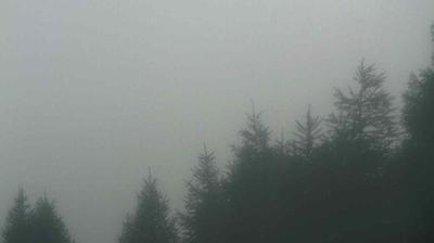 immagine della webcam nei dintorni di Montagna in Valtellina: webcam Teglio