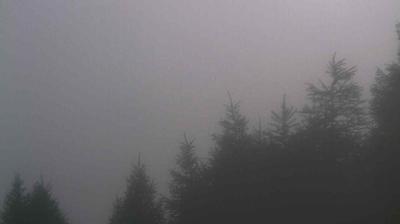 immagine della webcam nei dintorni di Bianzone: webcam Teglio