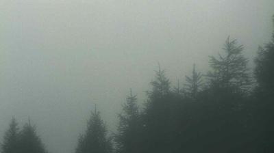 immagine della webcam nei dintorni di Lizzola: webcam Teglio
