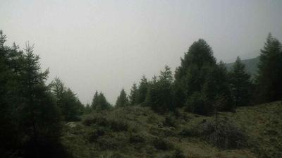 Preview delle webcam di Teglio