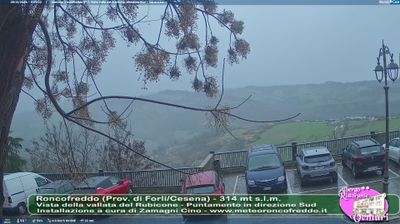 immagine della webcam nei dintorni di Cesenatico: webcam Roncofreddo