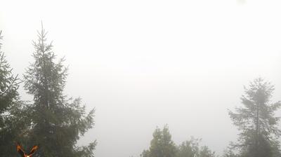 immagine della webcam nei dintorni di Albese con Cassano: webcam Monte Cornizzolo