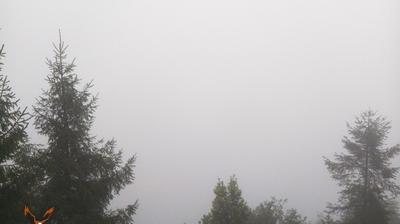 immagine della webcam nei dintorni di Piani Resinelli: webcam Monte Cornizzolo