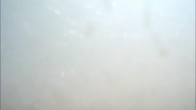 immagine della webcam nei dintorni di Buggiano: webcam Collodi