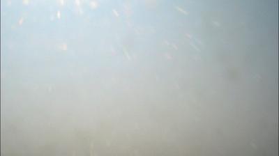 immagine della webcam nei dintorni di Torre Del Lago Puccini: webcam Collodi
