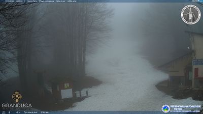 immagine della webcam nei dintorni di Marradi: webcam Campigna