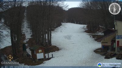 immagine della webcam nei dintorni di Ortignano Raggiolo: webcam Campigna