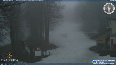 immagine della webcam nei dintorni di Montemignaio: webcam Campigna