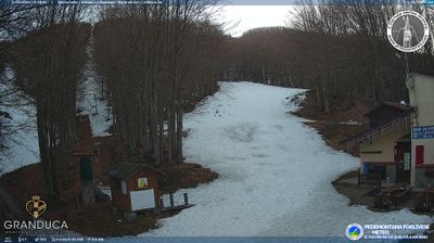 immagine della webcam nei dintorni di Reggello: webcam Campigna