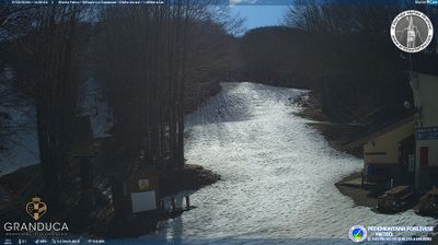 immagine della webcam nei dintorni di Ortignano Raggiolo: webcam Campigna