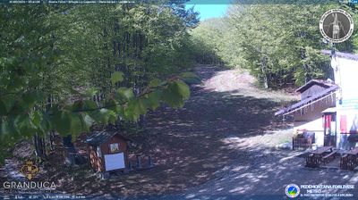immagine della webcam nei dintorni di Montemignaio: webcam Campigna