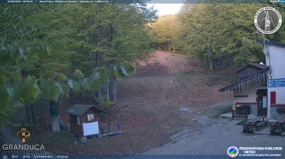 immagine della webcam nei dintorni di Ortignano Raggiolo: webcam Campigna