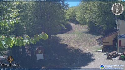 immagine della webcam nei dintorni di Reggello: webcam Campigna