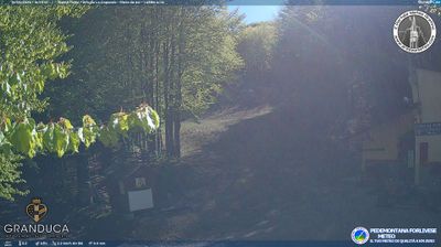 immagine della webcam nei dintorni di Caprese Michelangelo: webcam Campigna