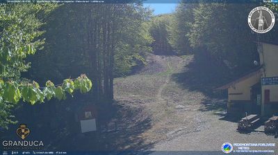 immagine della webcam nei dintorni di Pelago: webcam Campigna
