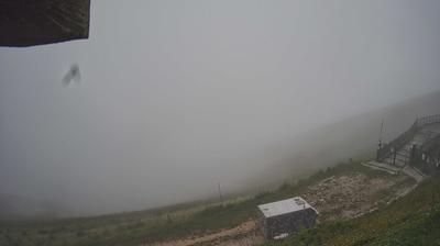 Preview delle webcam di Piave