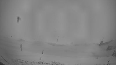 immagine della webcam nei dintorni di Piancavallo: webcam Piave