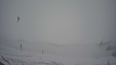 immagine della webcam nei dintorni di Budoia: webcam Piave