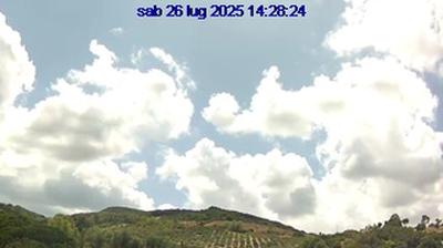 Preview delle webcam di Villaurbana
