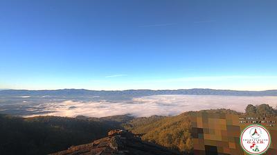 immagine della webcam nei dintorni di Pontassieve: webcam Castelfranco di Sopra