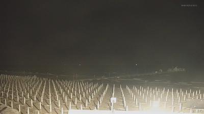 Preview delle webcam di Lignano Sabbiadoro: Lignano Pineta 2