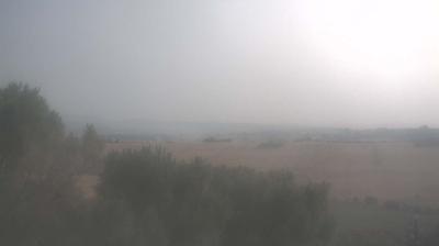 immagine della webcam nei dintorni di Orvieto: webcam Deruta