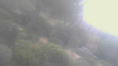 immagine della webcam nei dintorni di Marina Di Castagneto: webcam San Carlo