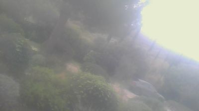 immagine della webcam nei dintorni di Vada: webcam San Carlo