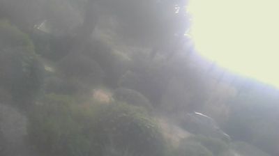 immagine della webcam nei dintorni di Marina di Bibbona: webcam San Carlo