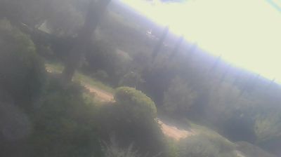 immagine della webcam nei dintorni di Cecina: webcam San Carlo