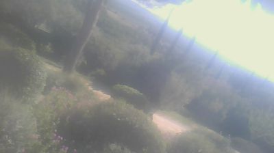 immagine della webcam nei dintorni di Vada: webcam San Carlo