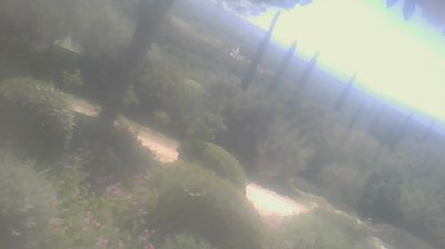 immagine della webcam nei dintorni di Vada: webcam San Carlo