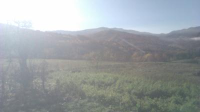 immagine della webcam nei dintorni di Brallo di Pregola: webcam Cantalupo Ligure