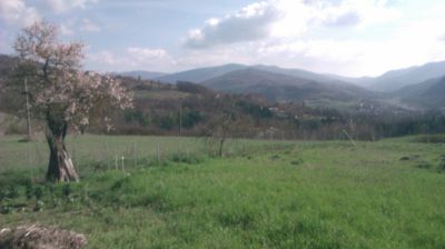 immagine della webcam nei dintorni di Bobbio: webcam Cantalupo Ligure