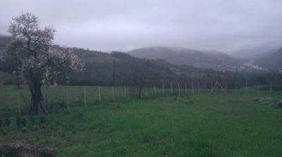 immagine della webcam nei dintorni di Busalla: webcam Cantalupo Ligure