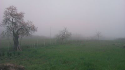 immagine della webcam nei dintorni di Brallo di Pregola: webcam Cantalupo Ligure