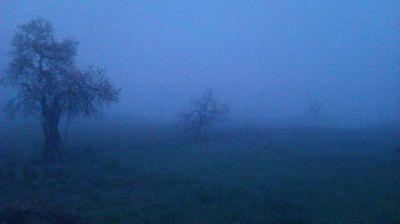 immagine della webcam nei dintorni di Carrosio: webcam Cantalupo Ligure