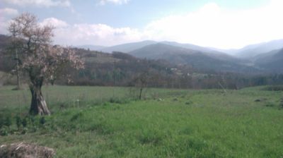 immagine della webcam nei dintorni di Passo del Penice: webcam Cantalupo Ligure