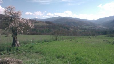 immagine della webcam nei dintorni di Passo del Penice: webcam Cantalupo Ligure