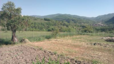 immagine della webcam nei dintorni di Menconico: webcam Cantalupo Ligure