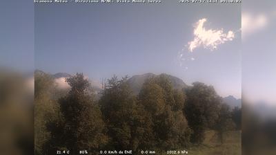 immagine della webcam nei dintorni di Pian del Cansiglio: webcam Limana