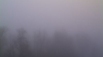 Preview delle webcam di Limana