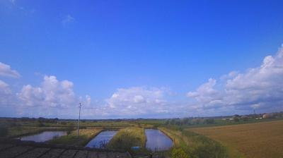 immagine della webcam nei dintorni di Monfalcone: webcam Carlino