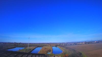 immagine della webcam nei dintorni di Caorle: webcam Carlino