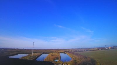 immagine della webcam nei dintorni di Casarsa della Delizia: webcam Carlino