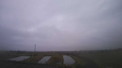 immagine della webcam nei dintorni di Monfalcone: webcam Carlino