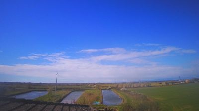 immagine della webcam nei dintorni di Bibione Pineda: webcam Carlino