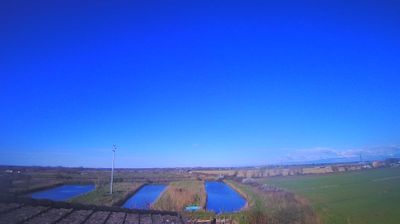 immagine della webcam nei dintorni di Grado: webcam Carlino